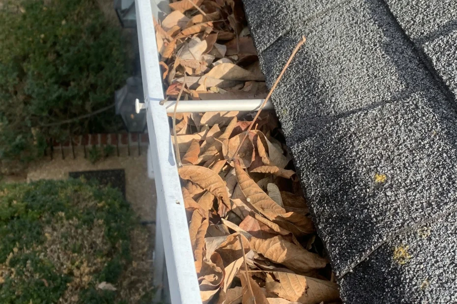 Gutter Cleaning Celebration FL